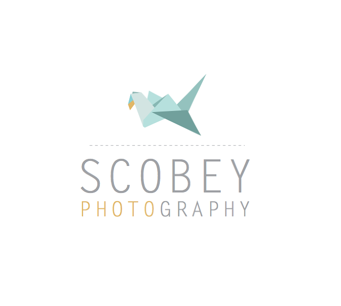 logo-design-bri-emery